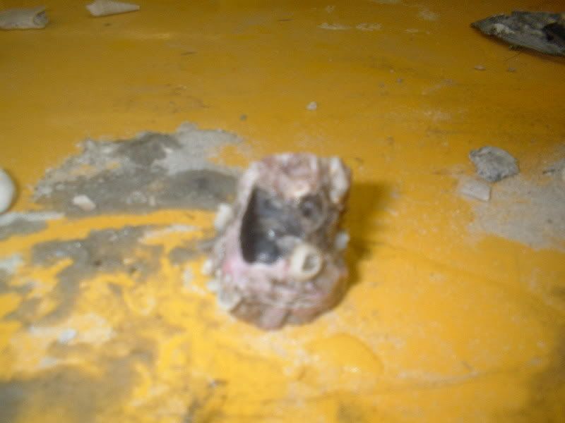 DSCF0014.jpg