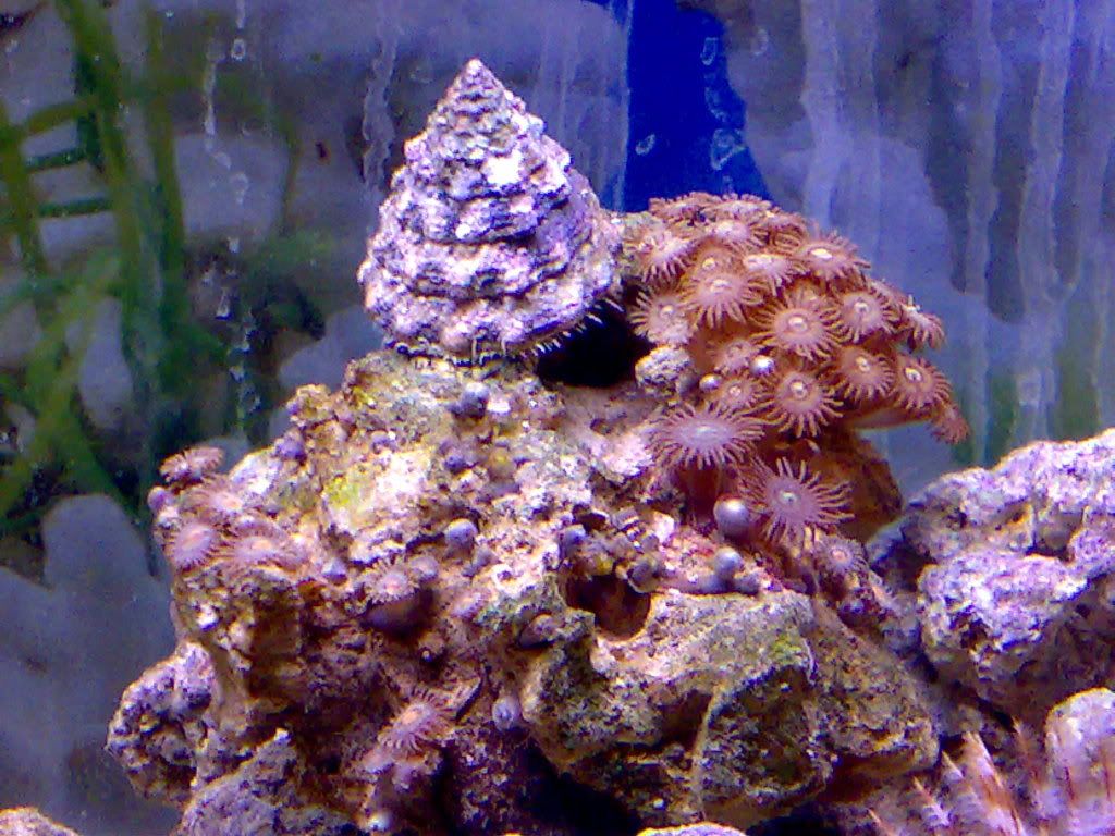 24112008060.jpg