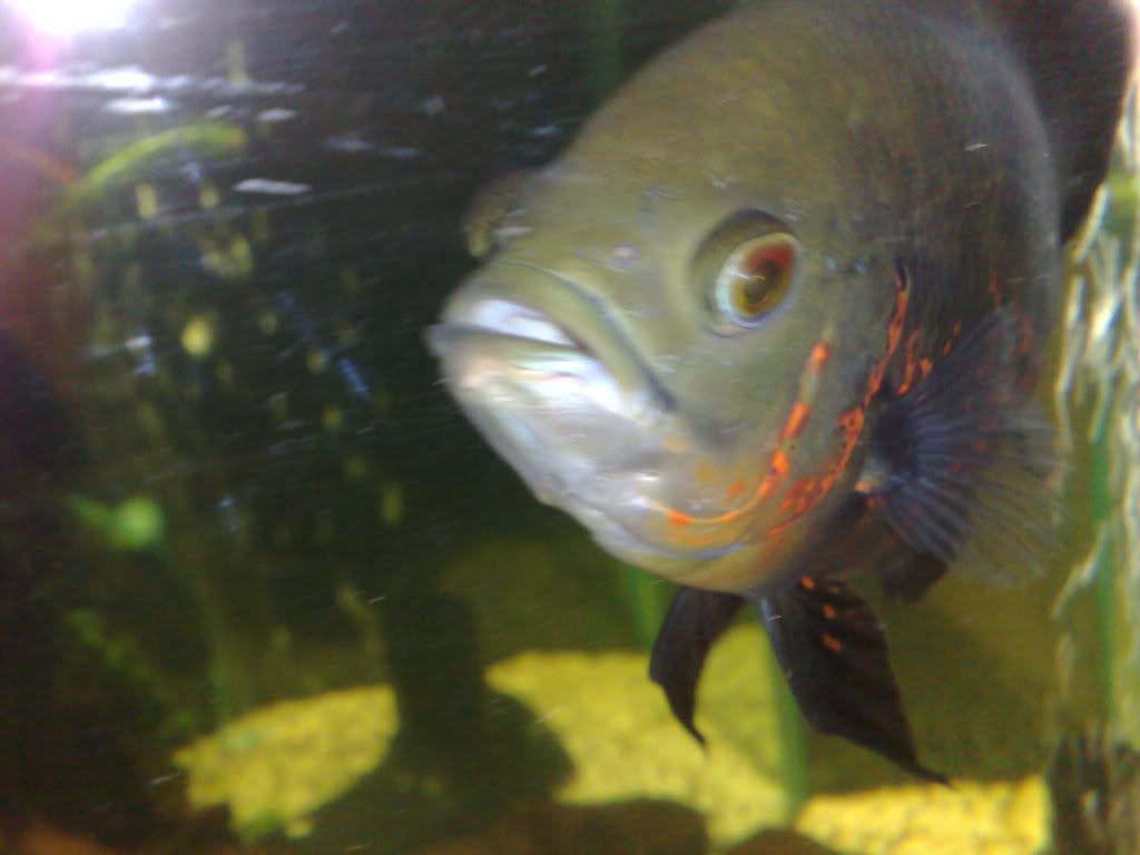07122008257.jpg