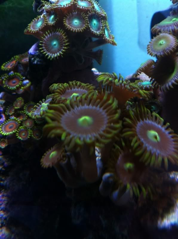 c3c1c11f.jpg