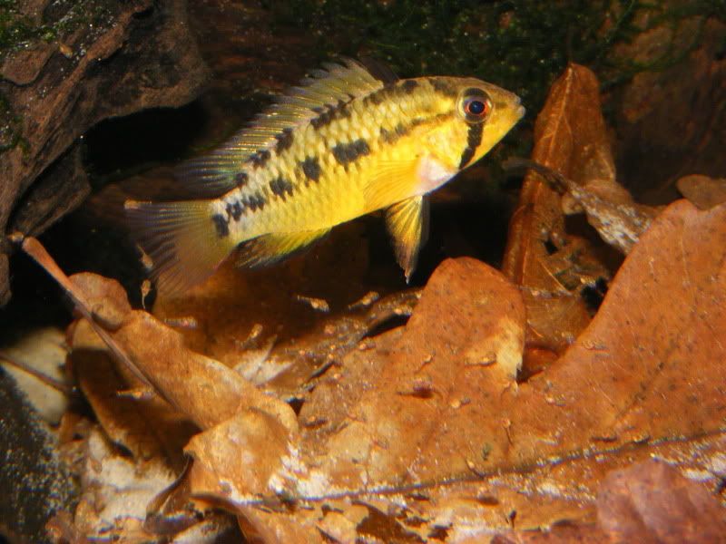 DSCF3213.jpg