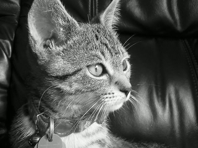 Photography2.jpg