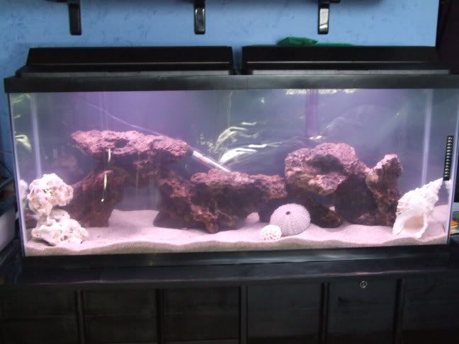 2006_02202weekbetta0002.jpg