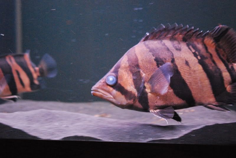 DSC_0218.jpg