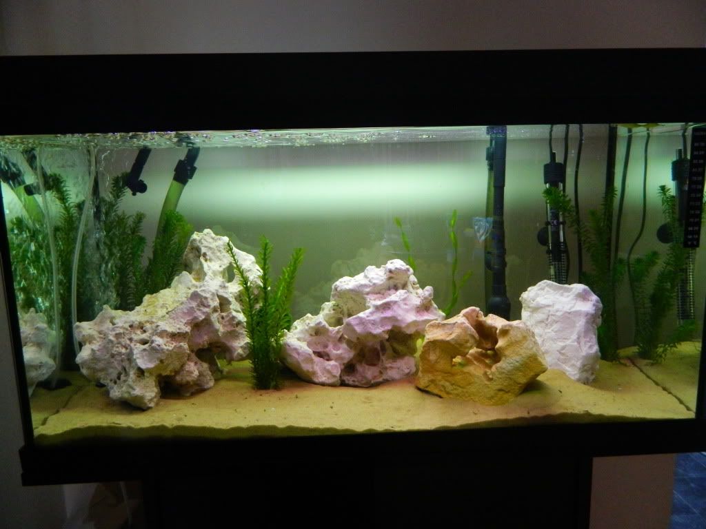 DSCN1188.jpg