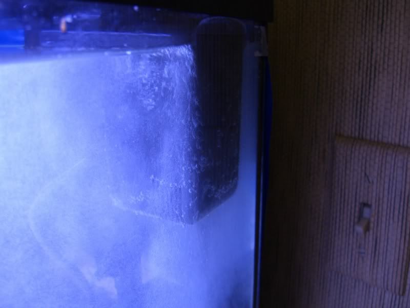 SuperSkimmer001.jpg