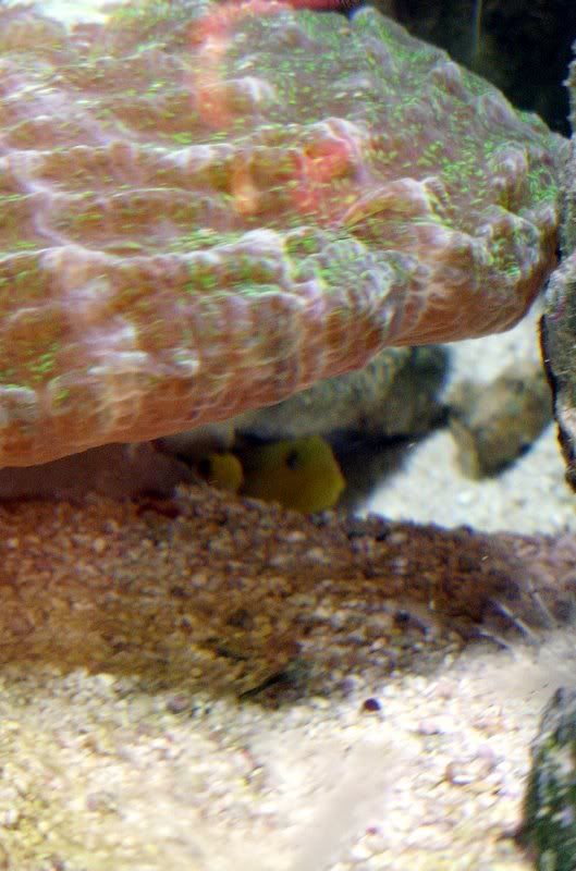 DSCF8160.jpg