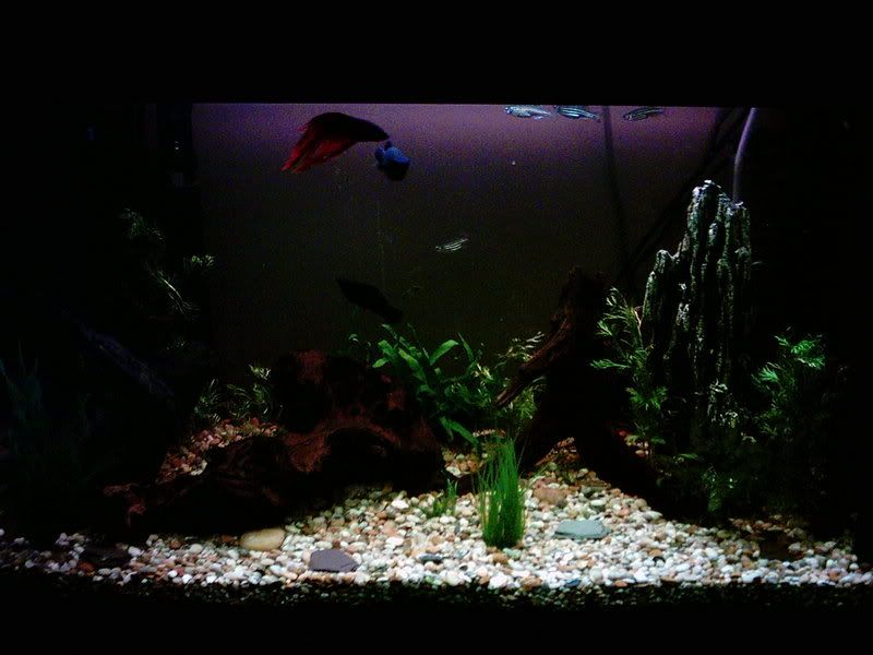 FullTank030107.jpg
