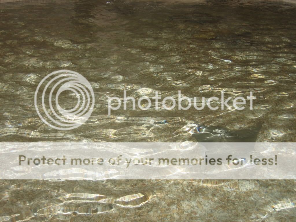 Picture014.jpg