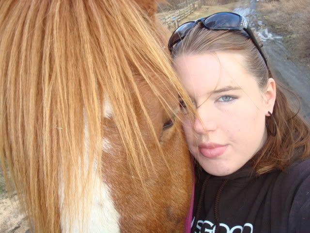 horsies018.jpg