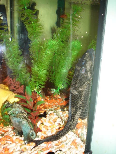 DSC03383.jpg