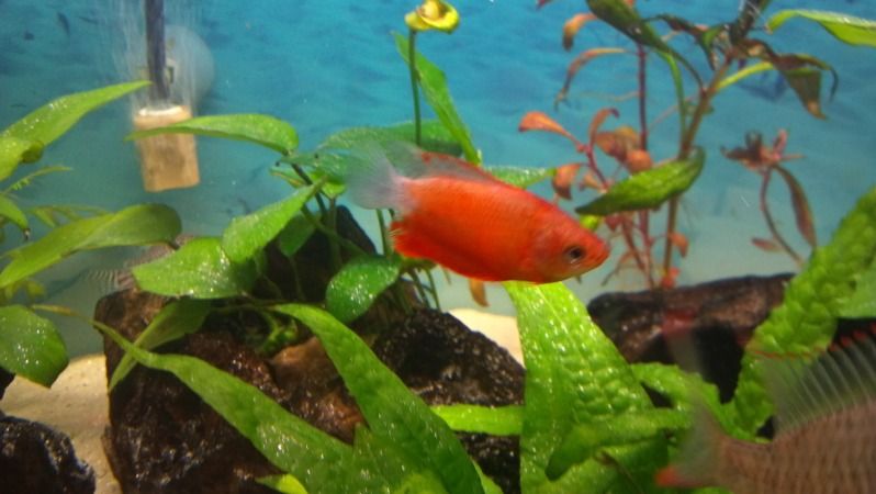 2012-08-16_21-40-30_196.jpg