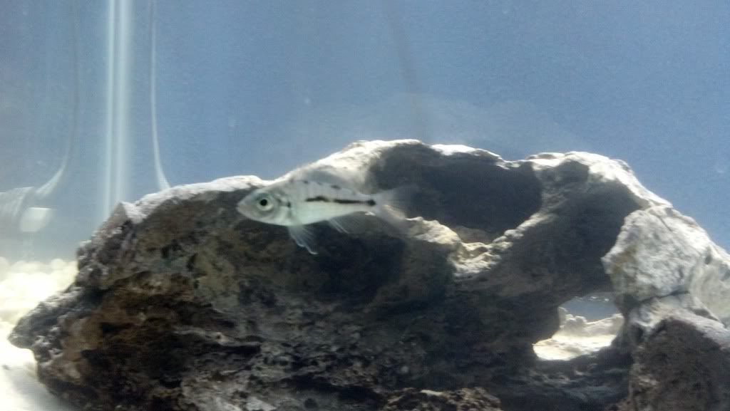 2012-03-29_19-44-54_575.jpg