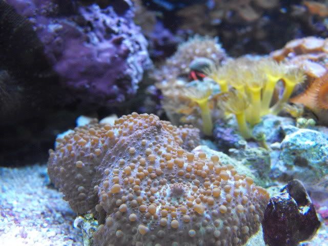 DSCF3446.jpg
