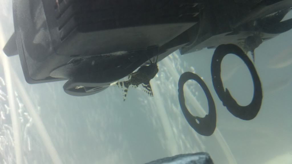 2012-03-29_19-45-44_595.jpg