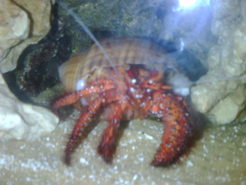 IMG00431.jpg