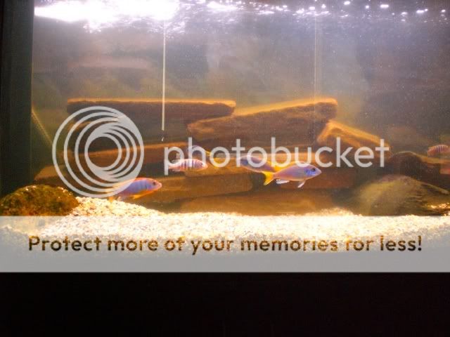 Picture036.jpg