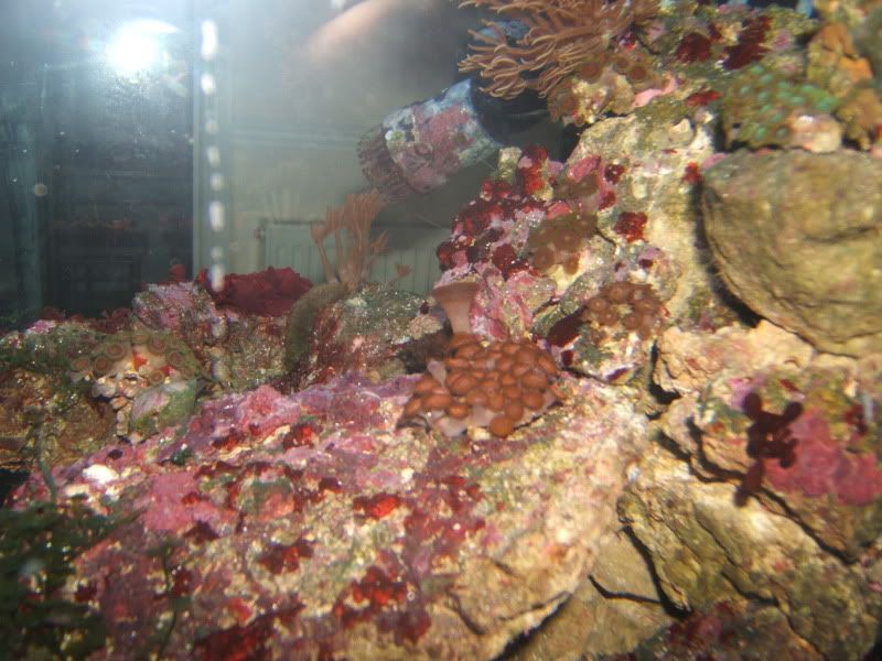 DSCF1475.jpg