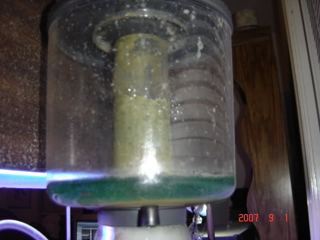 DSC04742.jpg