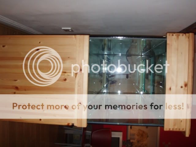 PB140011.jpg