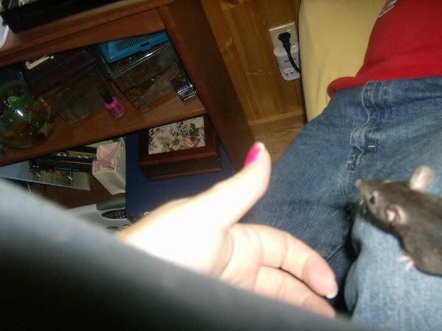 Rats034.jpg