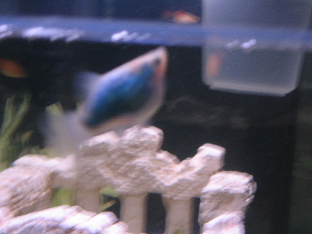 Picture013.jpg