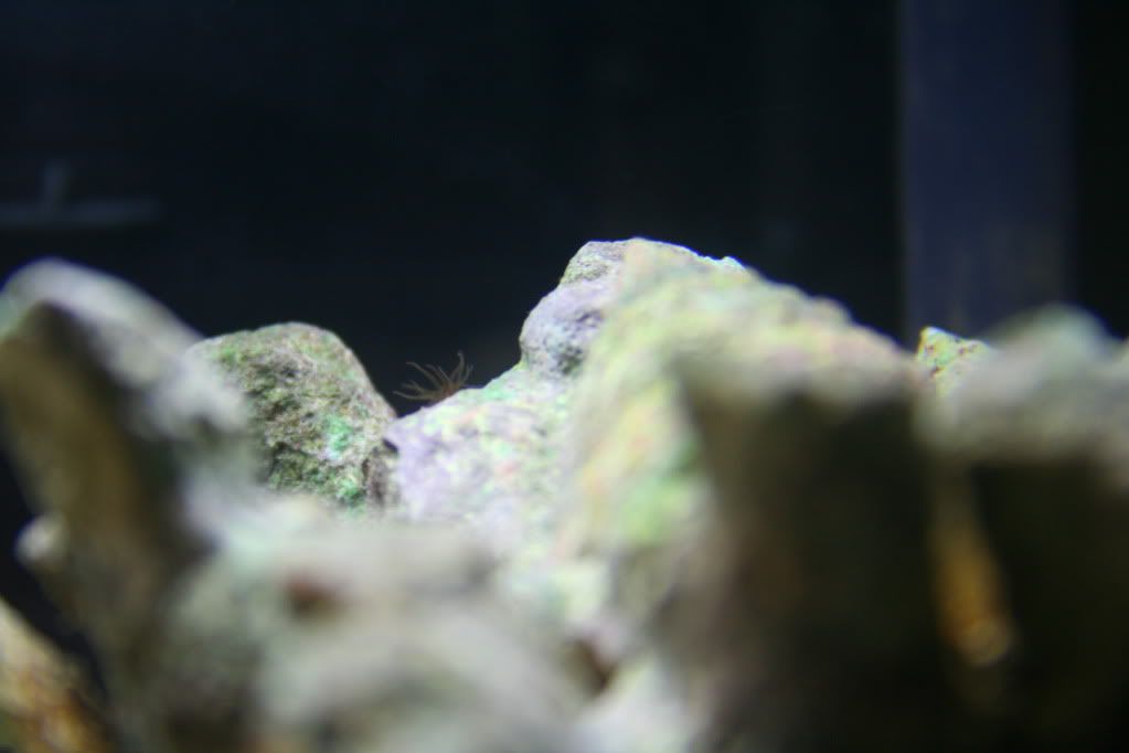 IMG_0302.jpg