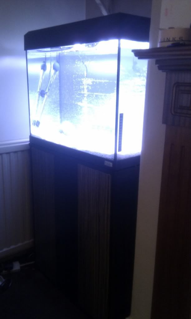 IMAG0225.jpg