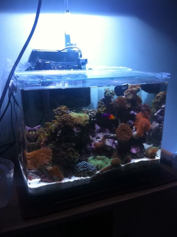 cb9d9b52.jpg