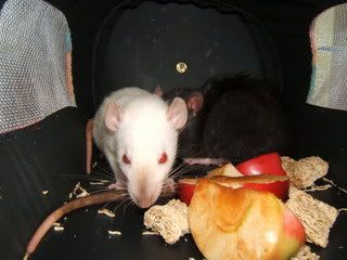 DSCF2864.jpg
