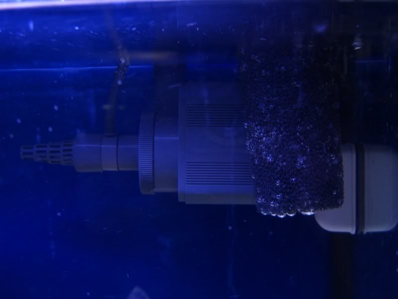 TankUpdate12-21-06003.jpg