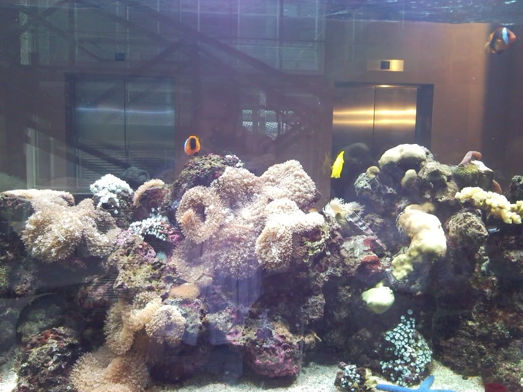 SNC00123.jpg