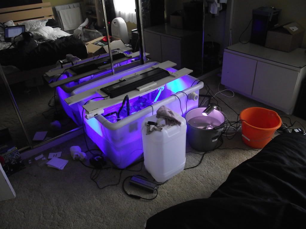 DSCF1752.jpg