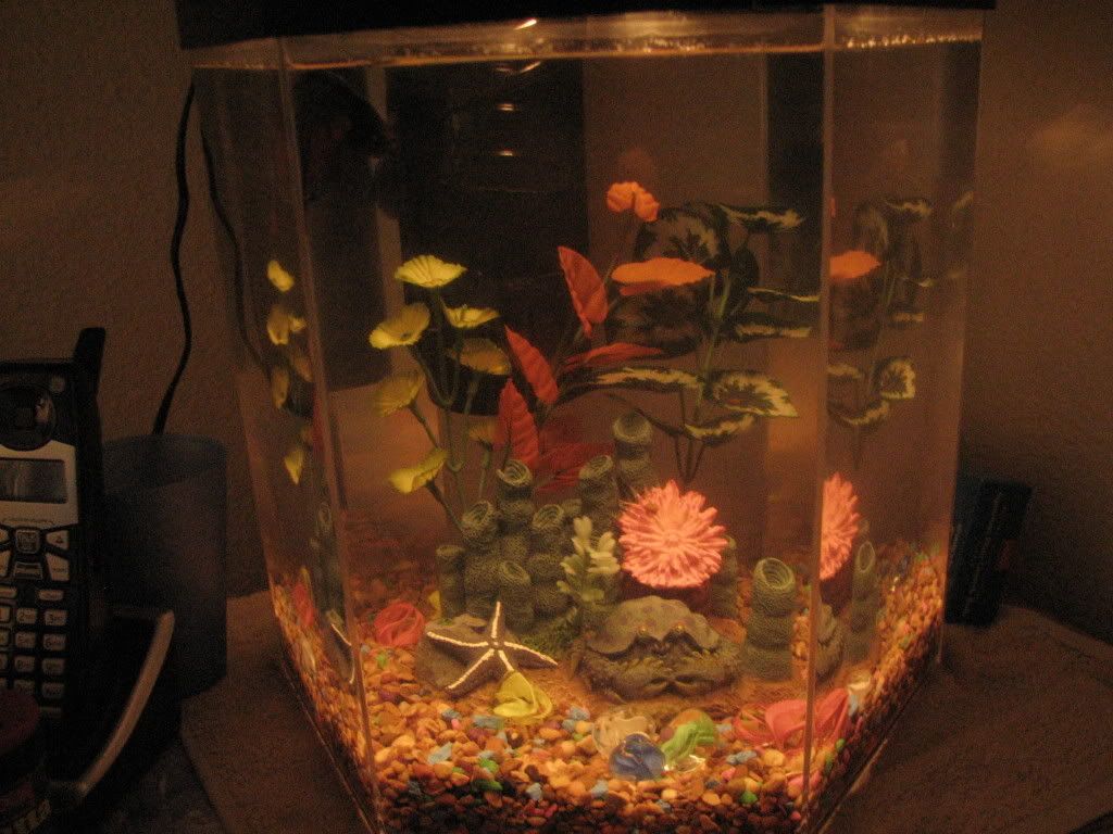 fishtank003.jpg