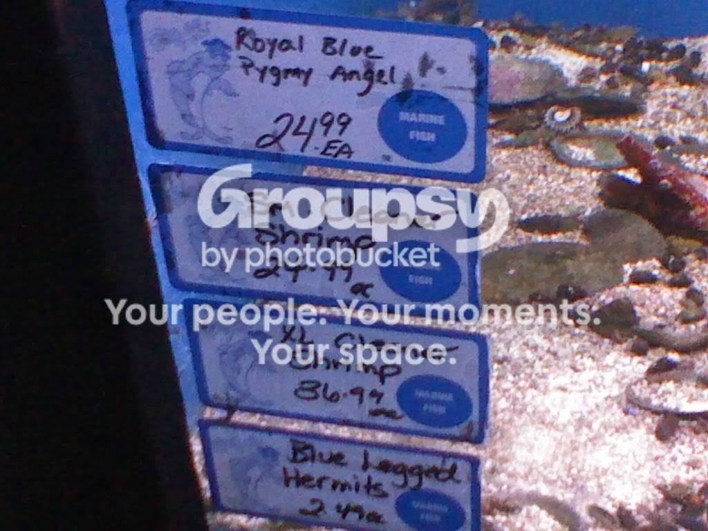 Oct01_0006.jpg