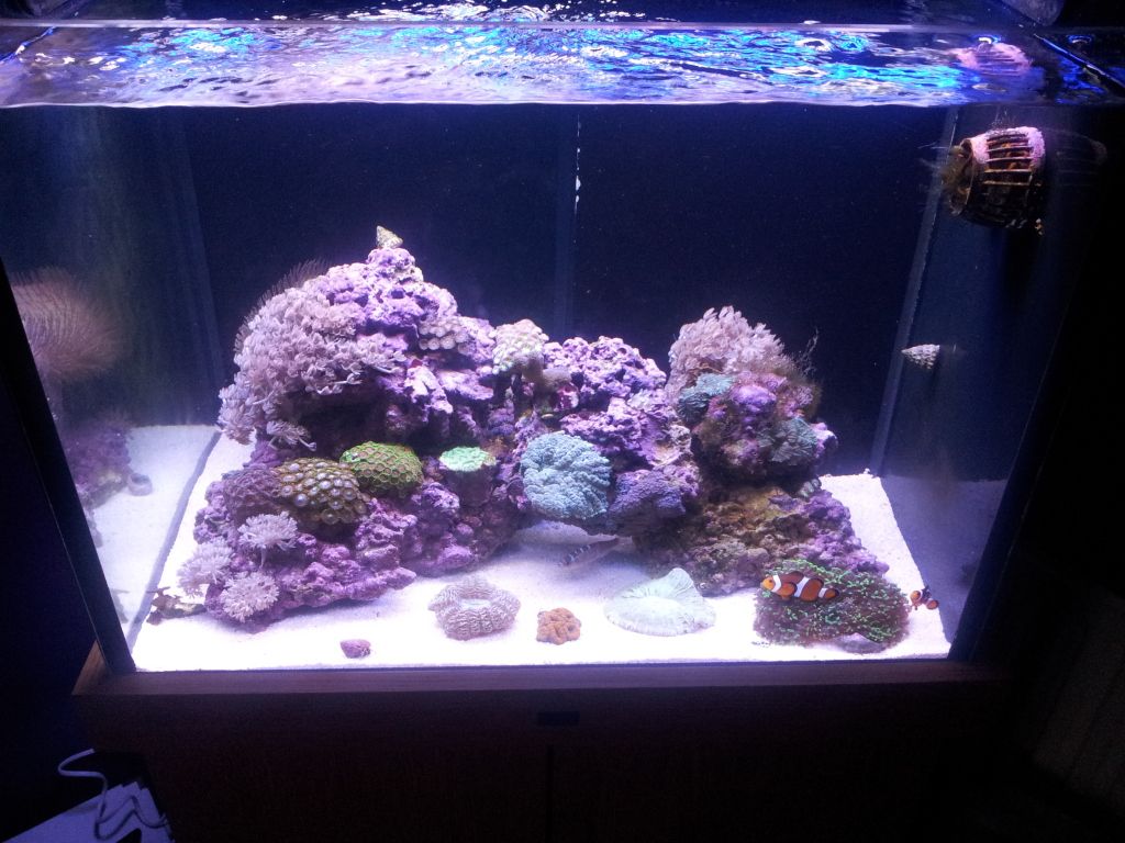 2011-11-01160123.jpg