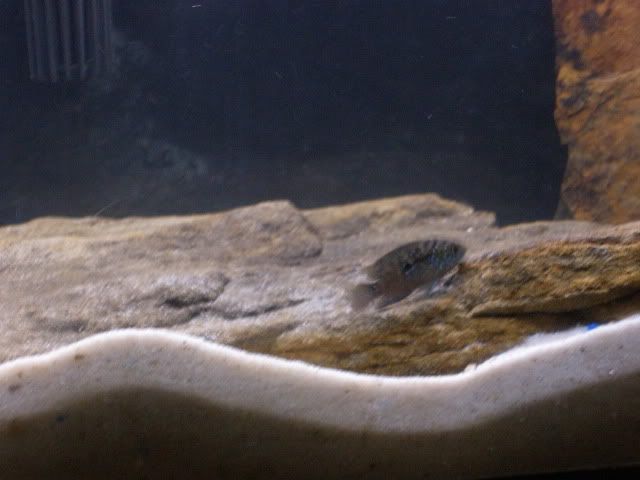 P3180064.jpg