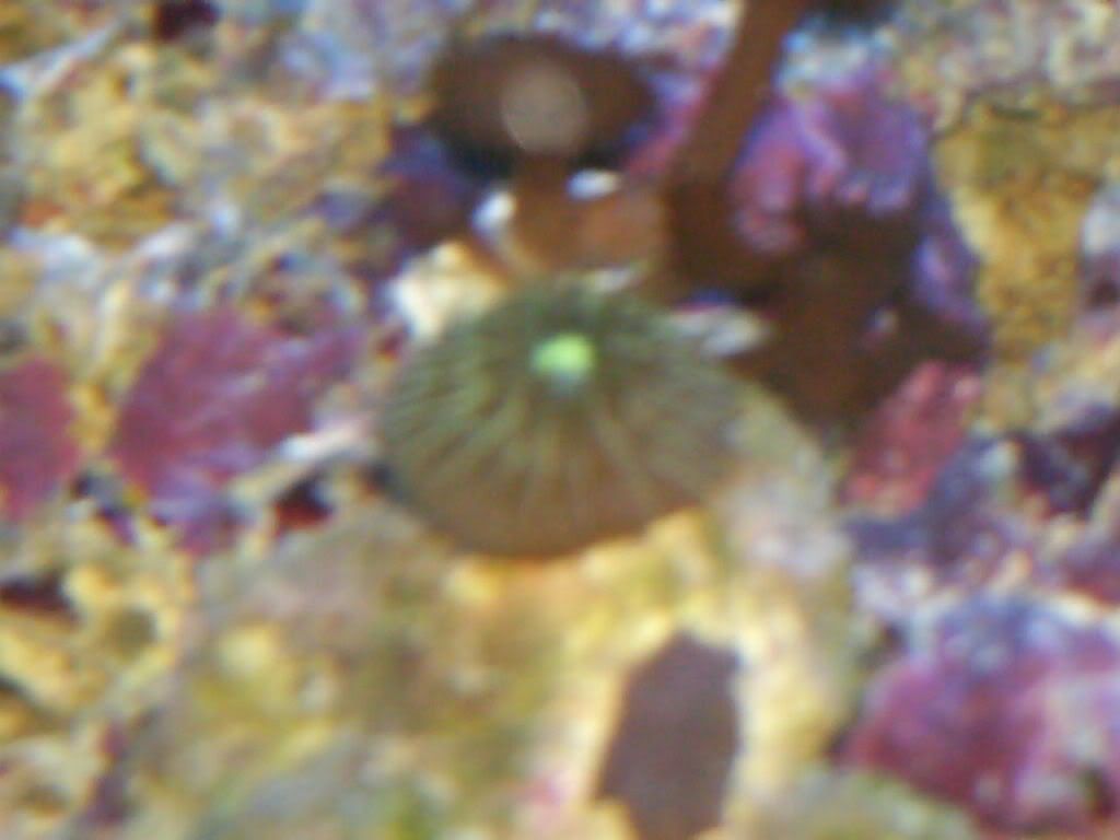 HPIM0430.jpg