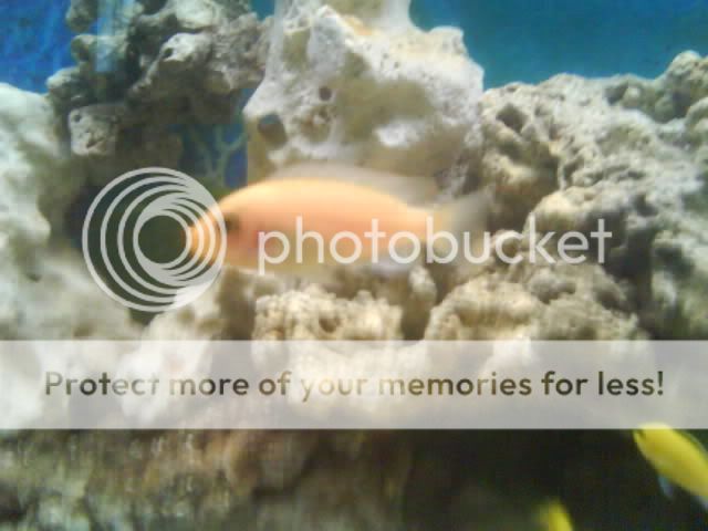 DSC01405.jpg