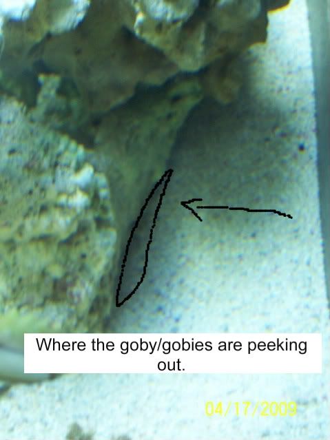 100_5383.jpg
