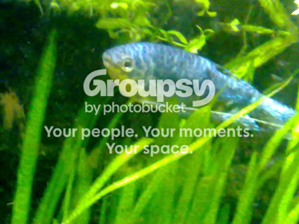 06072009063.jpg