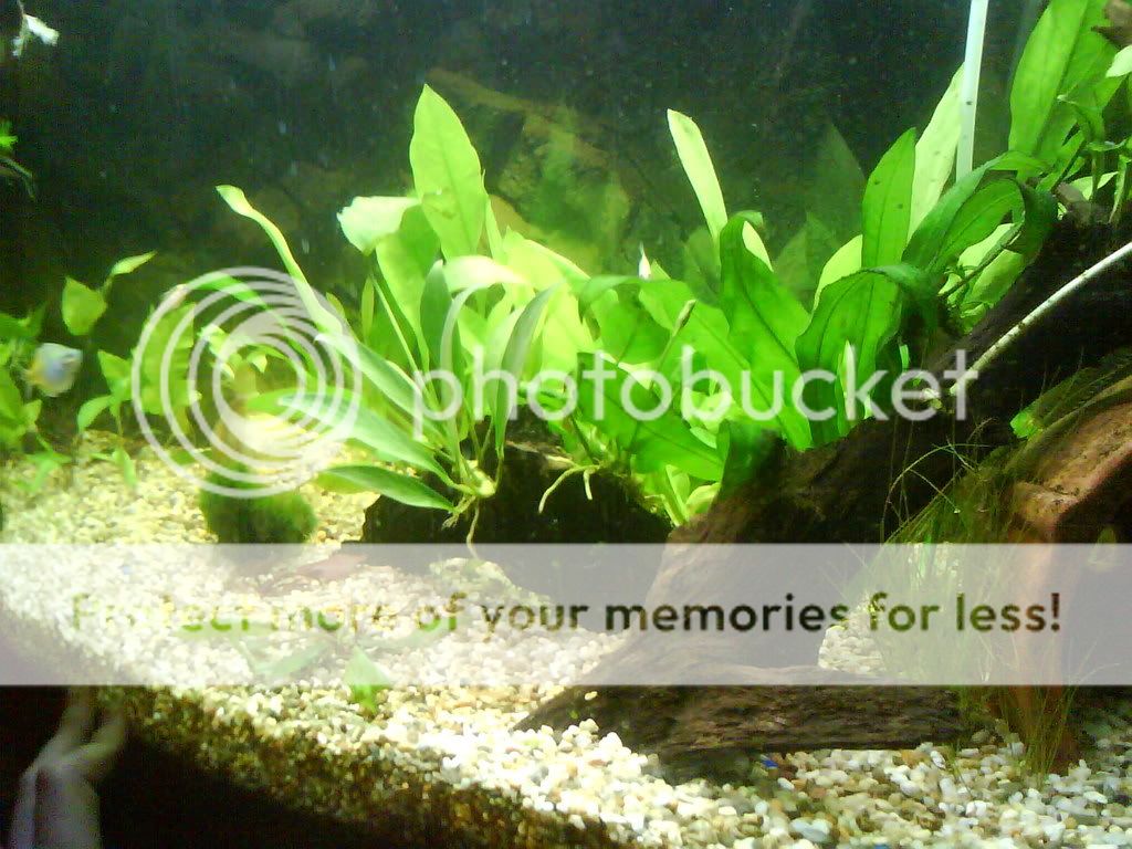 newlayout004.jpg