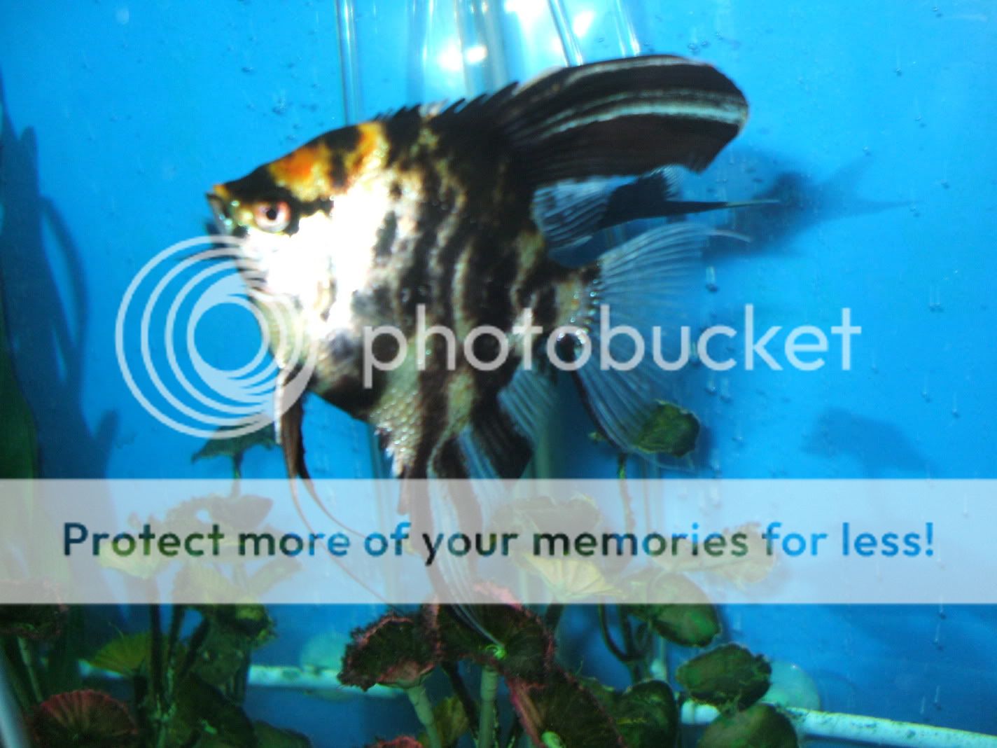 batchloretteparty-034.jpg