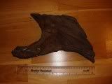 DSC02293.jpg
