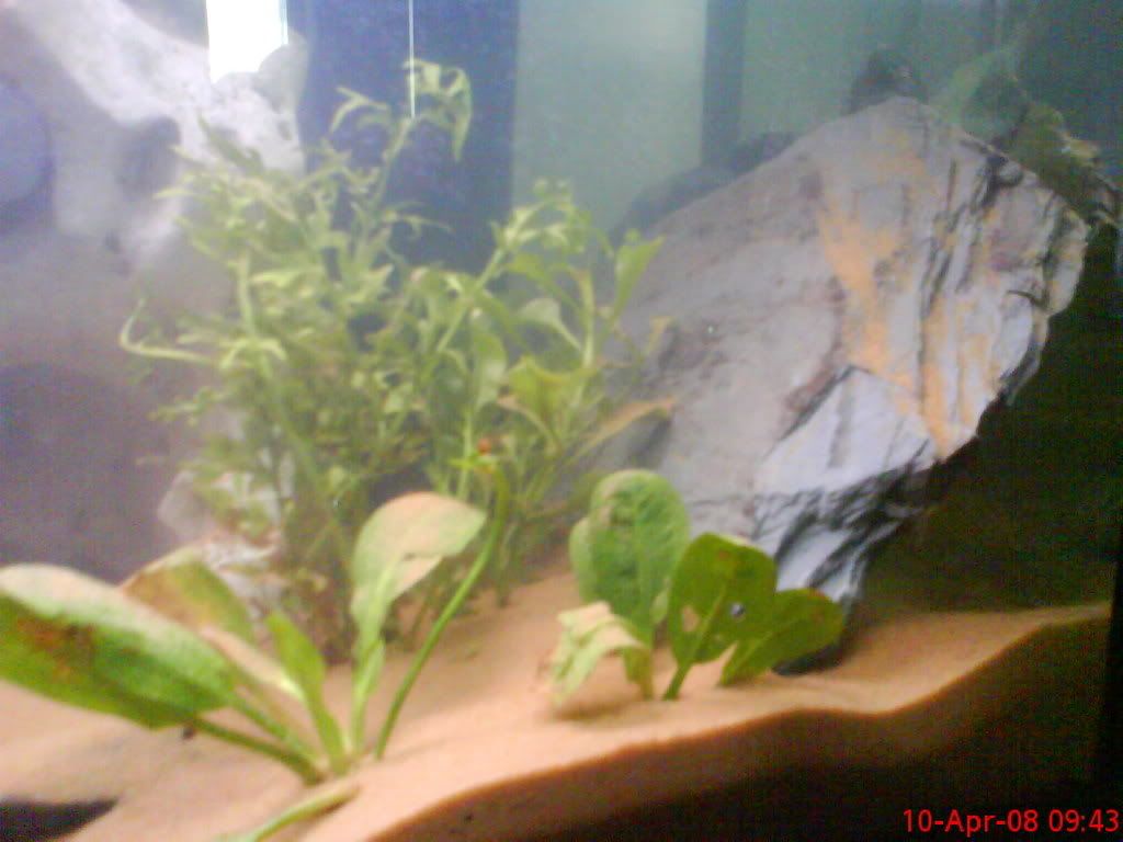 DSC00442.jpg