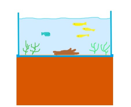 fishta11.jpg