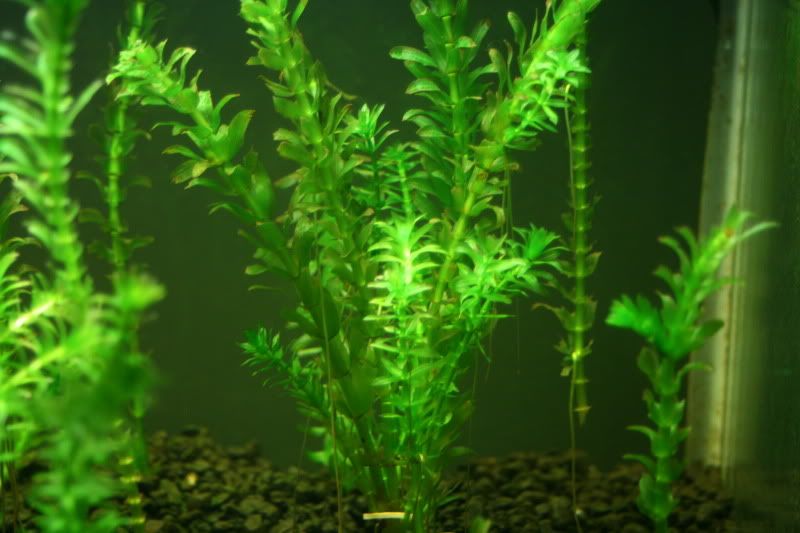20g1month7.jpg