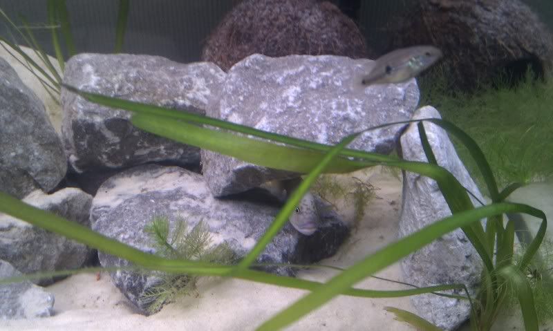 IMAG0834.jpg