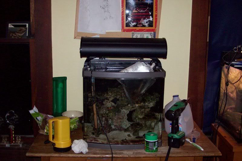 aquarium116.jpg