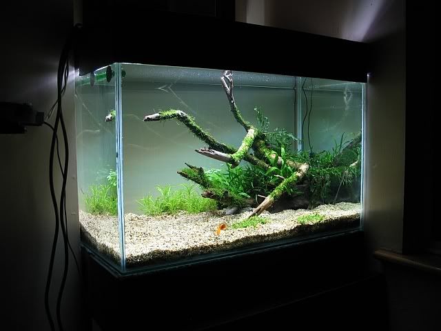 newscape5.jpg